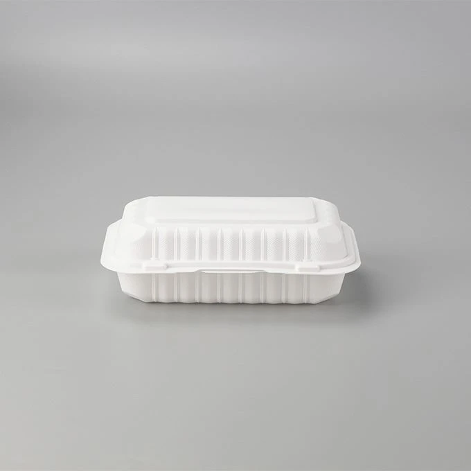 Disposable Bento Lunch Box