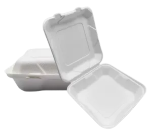 9-calowe pojemniki na żywność Bagasse To Go