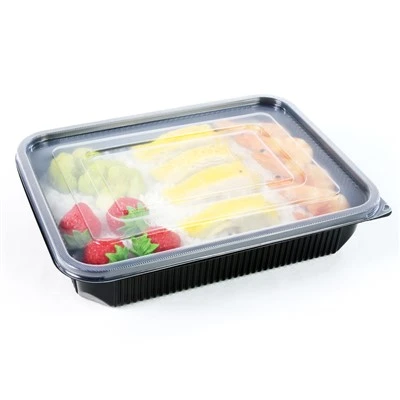 Ekologiczne posiłki na wynos: jednorazowe pudełka na lunch dla współczesnego stylu życia