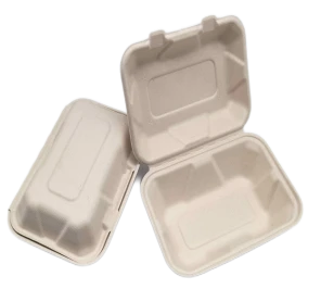 To Go Pojemniki jednorazowe Bagassa