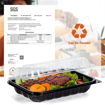 Plastic Container Takeout